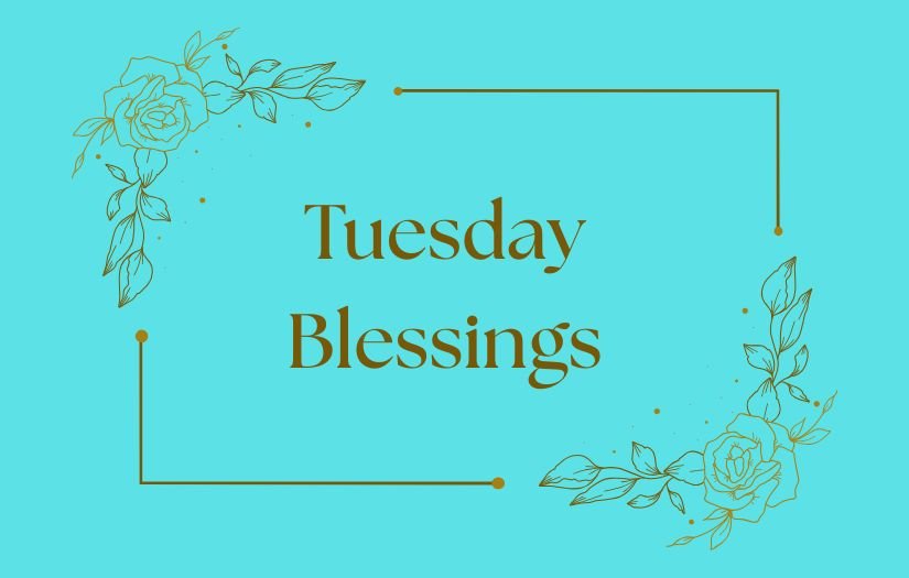 Tuesday Blessings